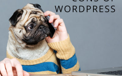 The pros and cons of WordPress