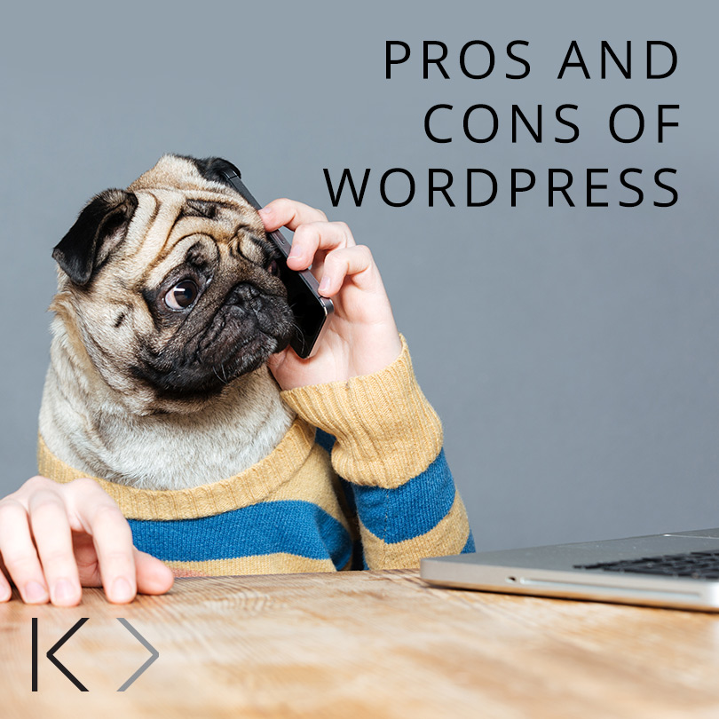 The pros and cons of WordPress